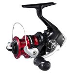CARRETO SIENNA 1000 FG